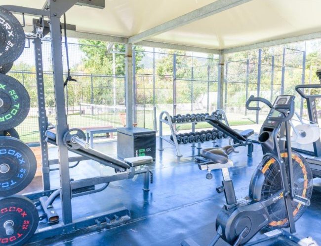 palestra palestra
